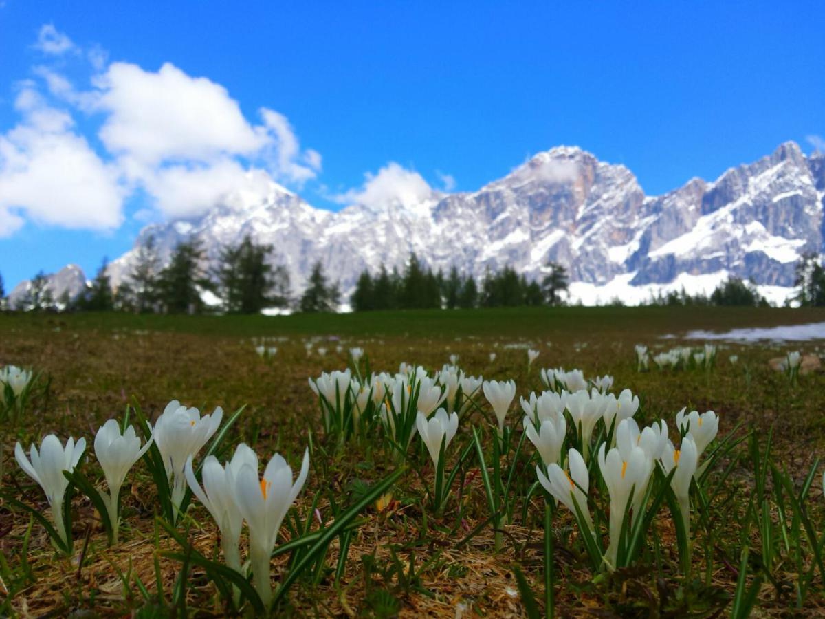 Haus Ferienglueck Apartment Ramsau am Dachstein Ngoại thất bức ảnh